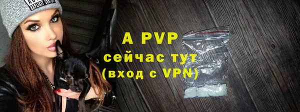 шишки Няндома