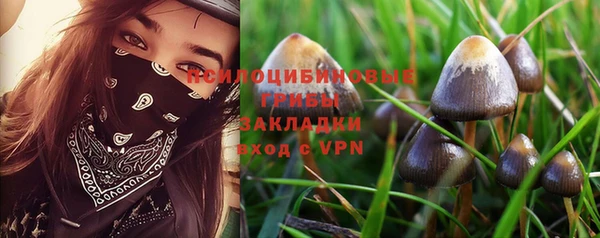 гашик Балабаново